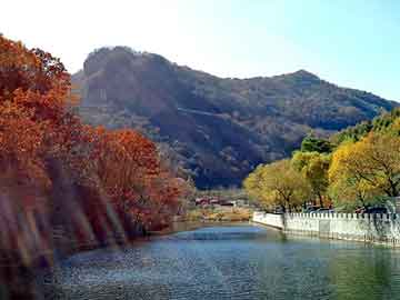 新澳门期期准精准，攀岩板